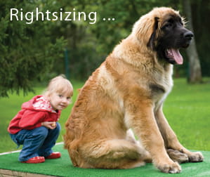 rightsizing1